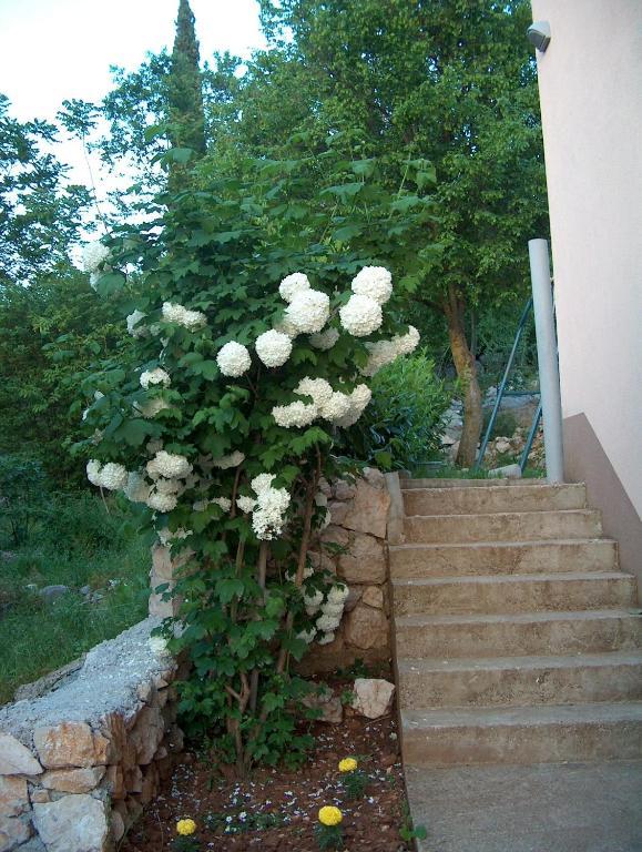 Villa Petra Medjugorje Exterior photo